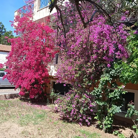 Paulina's Little House Politiká