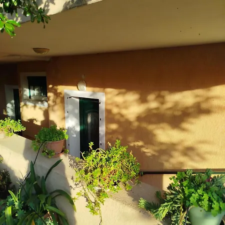 Paulina's Little House Politiká